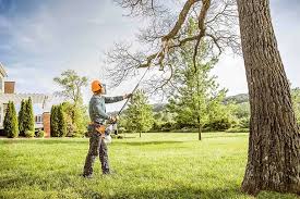Best Utility Line Clearance  in Somerville, NJ