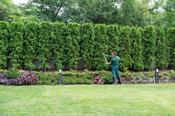 Best Artificial Turf Installation  in Somerville, NJ