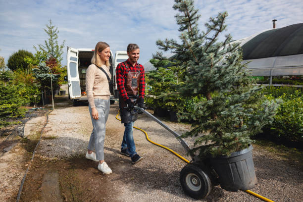 Best Tree and Shrub Care  in Somerville, NJ